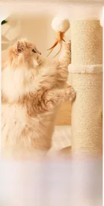 Detail view of durable sisal cat scratching post with hanging feather ball and cat