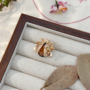 Detail of a beetle brooch with amber gemstone and rhinestones in a wooden jewelry box