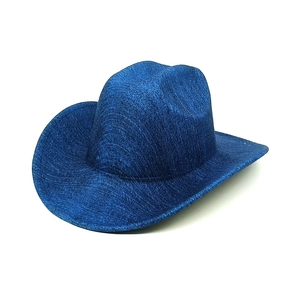 Deep blue wool jazz cowboy hat with a shimmering metallic texture and a classic wide brim