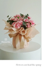 Detail of pink carnations wrapped in soft pearlescent tissue paper with a satin ribbon