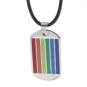 Collier plaque d'identité arc-en-ciel en acier inoxydable avec cordon noir élégant