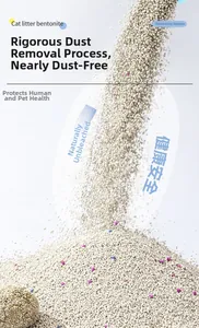 Detail showing dust-free bentonite cat litter with blue and pink deodorizing particles