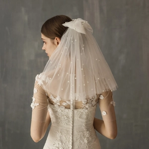 Elegant short white bridal veil with pearls and lace detail shown from a back view