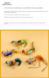 Detail of 5-piece plush bird cat toys with pull tabs and natural feather accents