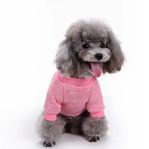 Nahaufnahme eines rosa gestrickten Welpenpullovers mit Rippkragen für kleine Hunde