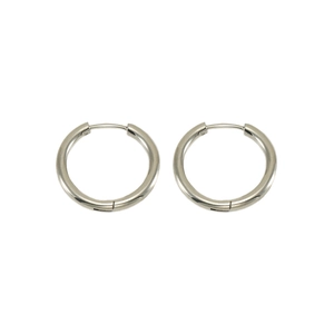 Detailed studio shot of a pair of silver stainless steel hoop earrings on a white background