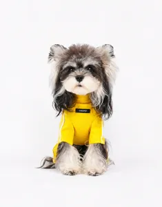 Close-up of ginger pet base layer with high collar and soft thermal knitted fabric