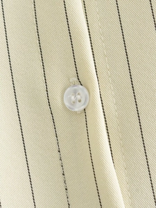 Detail of striped shirt featuring beige twill fabric and a white pearlescent button