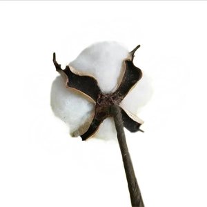 Realistic single cotton stem artificial flower for home decor and DIY arrangements