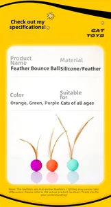 Close-up of colorful silicone cat toy balls with natural feathers in green and orange