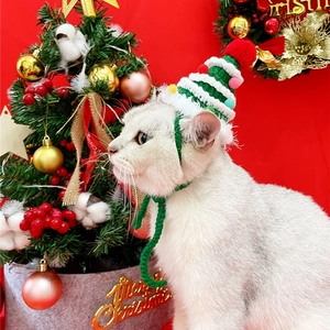Detail of hand-knitted Christmas tree pet hat with colorful pompoms on white cat