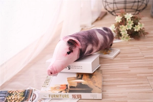 Rivestimento in peluche realistico a testa di maiale su libri decorativi