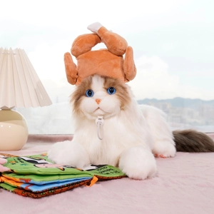Close-up of a plush turkey-shaped pet hat with adjustable drawstring on a Ragdoll cat
