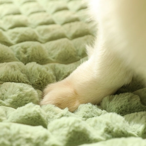 Sage green pet bed mat with textured bean velvet fabric and soft plush touch for dogs