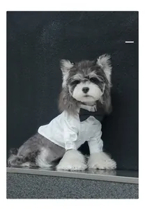 Close-up of white formal pet shirt with black bow tie for small dogs in detailed view