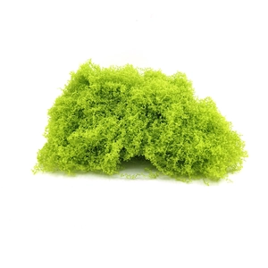 Dettaglio di muschio stabilizzato verde brillante per decorazioni floreali creative fai-da-te