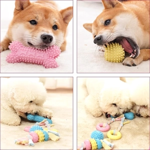Set de jouets à mâcher pour chien avec os et balle texturés pour soins dentaires chiot