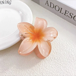 Elegant peach pink gradient flower hair claw clip with transparent resin petals