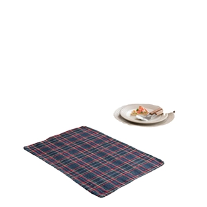 Classic American plaid placemat in red, blue, and green for Christmas dining table decoration