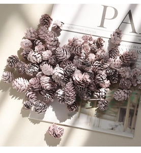 Close-up of natural light pink pine cones on vintage paper for Christmas DIY decor