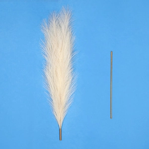 Close-up of cream pampas grass and brown stem on a solid blue background for boho decor