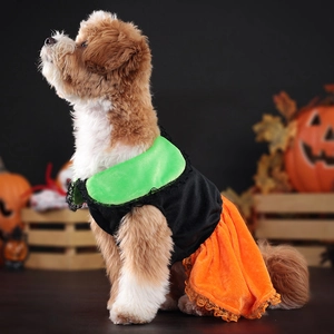 Halloween pumpkin dog dress with vibrant orange frill skirt and green collar detail