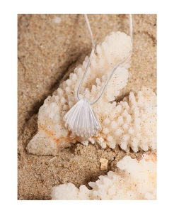 Macro detail of shell pendant with snake chain on white coral beach background