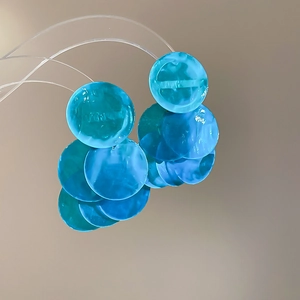 Macro shot of blue translucent shell disks with delicate hanging fringe details