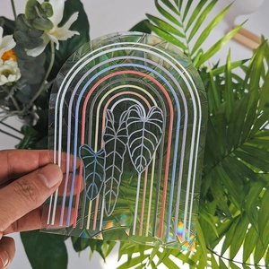 Close-up of arched rainbow prism window film with monstera leaf pattern and holographic effect