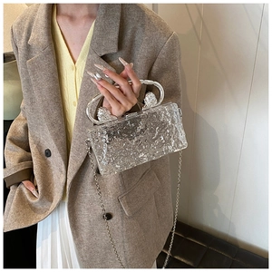 Detail of silver lion-head handle and ice-crack texture on clear acrylic evening clutch