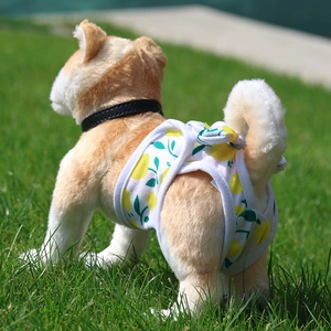 Detailed side view of pet physiological pants with lemon print on a dog model outdoors