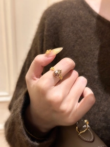 Details eines vergoldeten Flaschenkürbis-Rings mit Emaille und Perle für den Winter