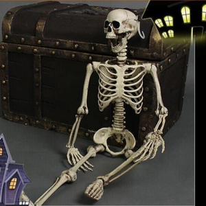 Life-size plastic human skeleton model prop sitting by a treasure chest for Halloween decor