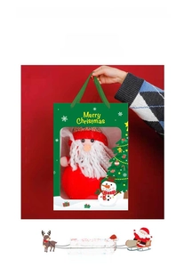 Detail der grünen Weihnachts-Geschenktüte mit Fenster und Plüsch-Weihnachtsmann-Motiv