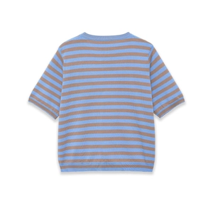 Fashionable blue and brown striped short sleeve knit sweater with a classic round neck