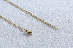 Macro shot of gold stainless steel necklace with adjustable lobster clasp and chain link detail