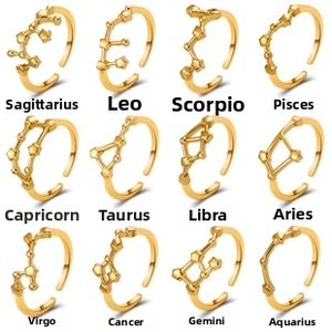 Detailed view of twelve zodiac sign rings in gold finish with adjustable open band design