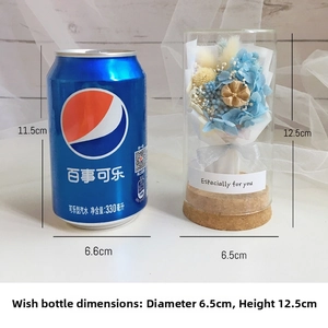 Detail view of mini dried flower glass jar with cork base and size dimensions