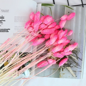 Close-up of dried pink rabbit tail grass on a magazine for DIY floral arrangements