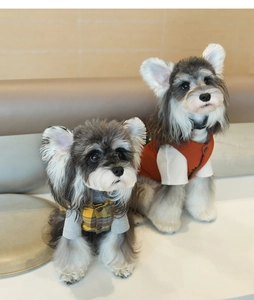 Close-up of two stylish pet winter vests with soft texture and vibrant multi-color designs
