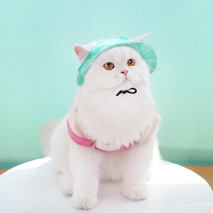 White cat wearing a mint green pet sun hat with pink vest on a circular display stand