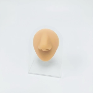 Detailed realistic silicone nose model in skin tone on clear acrylic display stand