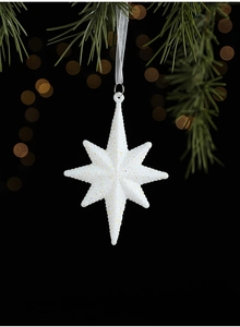 Sparkling white star Christmas ornament with glitter finish hanging on green pine branch