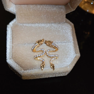 Detailed view of dragon-shaped earrings with zircon stones in a velvet jewelry box