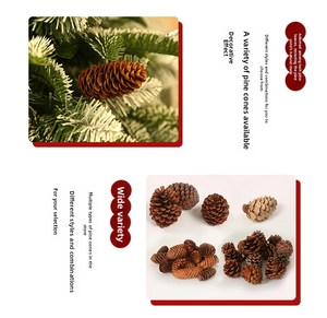 Macro view of assorted natural pine cones showing detailed woody texture and scales
