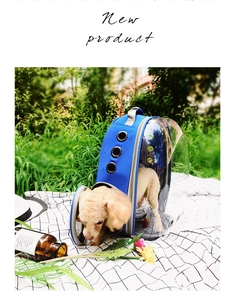 Detail view of transparent pet backpack with side mesh window and ventilation holes