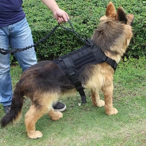 Tactical dog harness vest in black nylon with leash used on German Shepherd outdoors