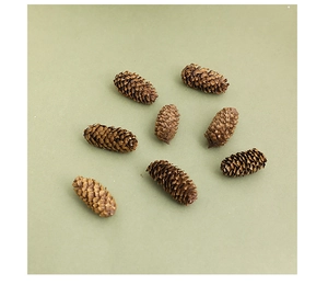 Top view of eight natural brown pine cones scattered on a light green background