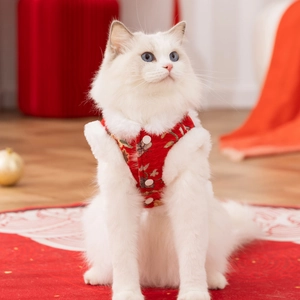 Red traditional Chinese pet vest with gold embroidery and white faux fur trim for cats