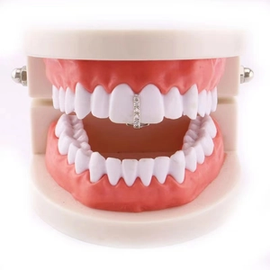 Silver single tooth grillz with clear zircons displayed on a dental model